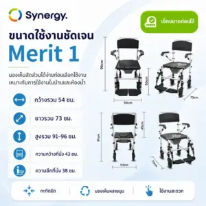 MERIT 7 1